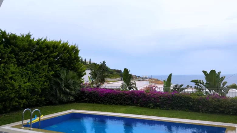 %d0%b1%d0%b0%d1%81%d1%81%d0%b5%d0%b9%d0%bd-3