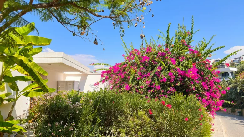 Территория Le Méridien Bodrum Beach Resort