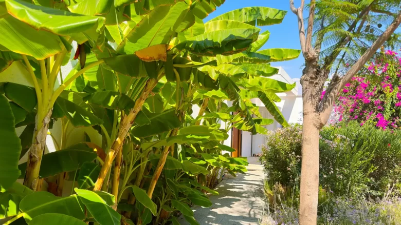 Территория Le Méridien Bodrum Beach Resort